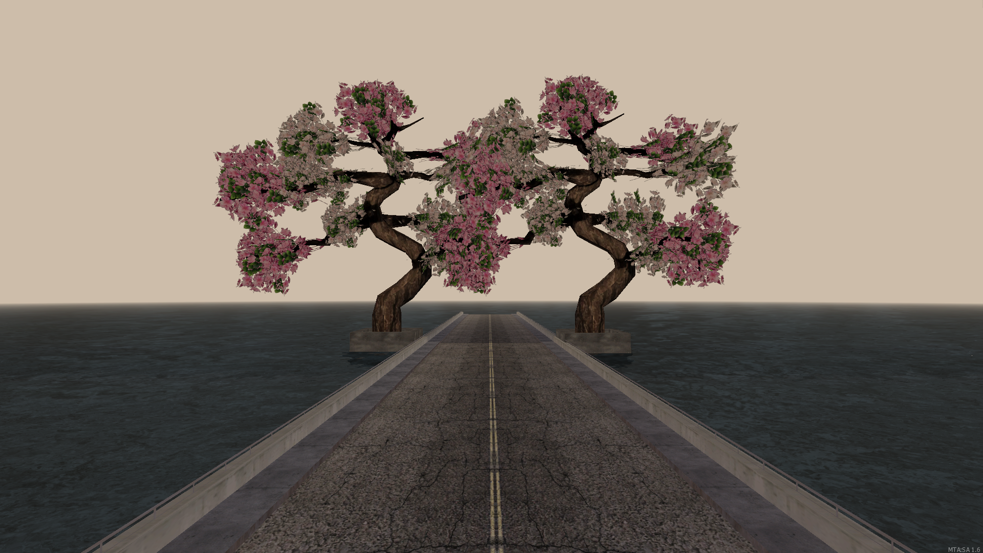 cherry tree cherry tree