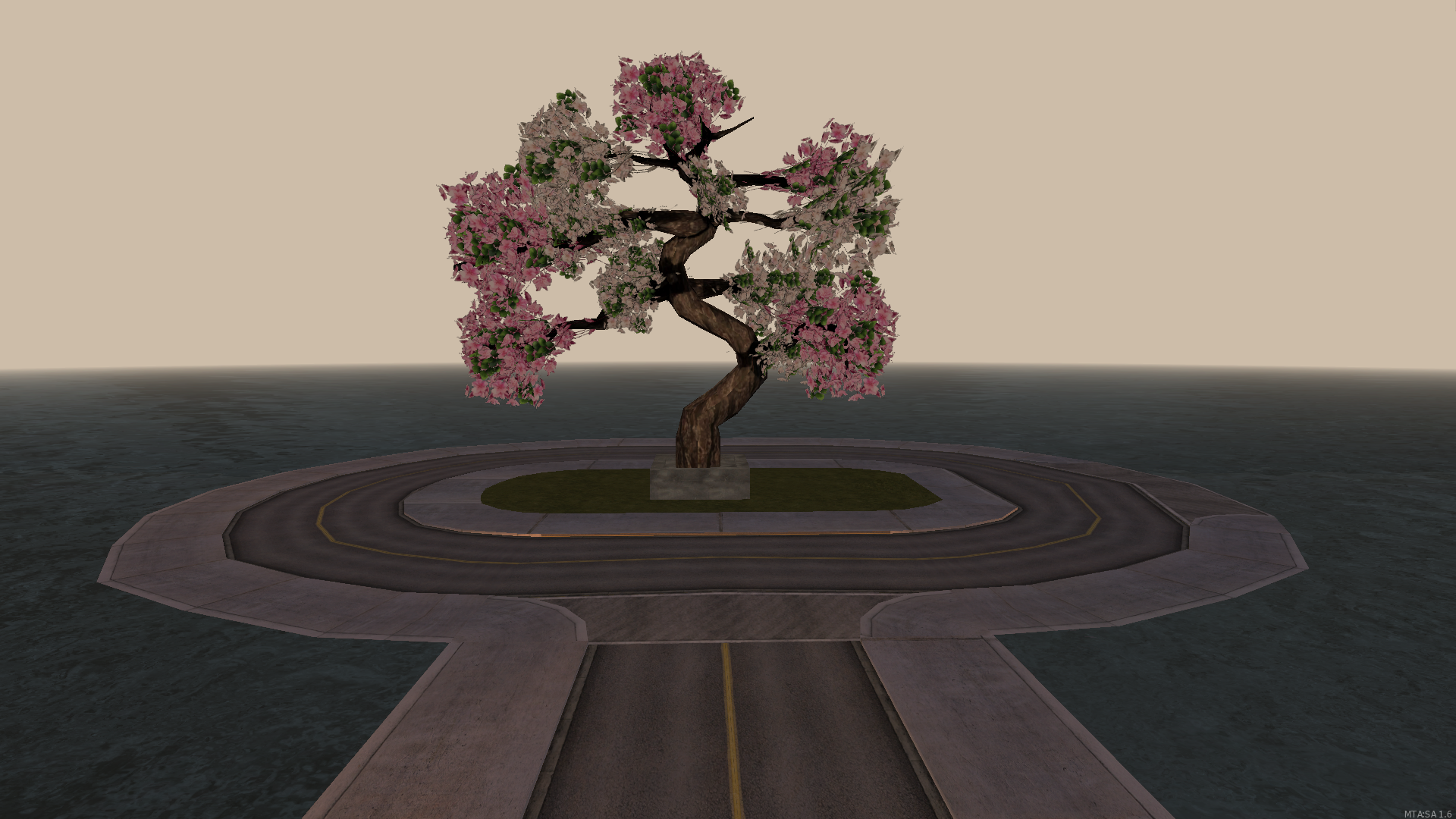 cherry tree cherry tree