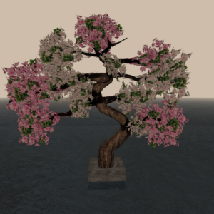 cherry tree