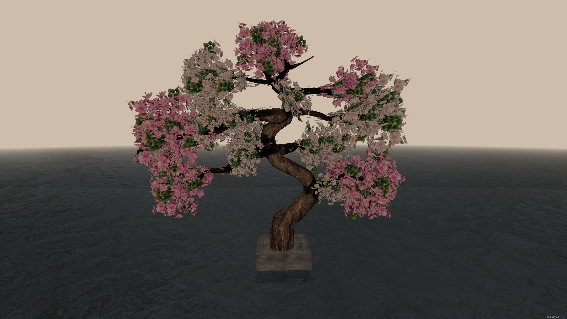 cherry tree cherry tree